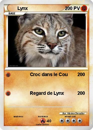 Pokemon Lynx
