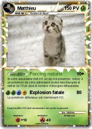 Pokemon Matthieu