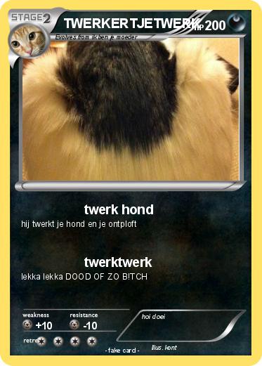 Pokemon TWERKERTJETWERK