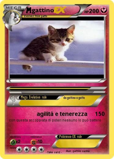 Pokemon gattino