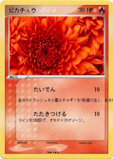 Pokemon ピカチュウ