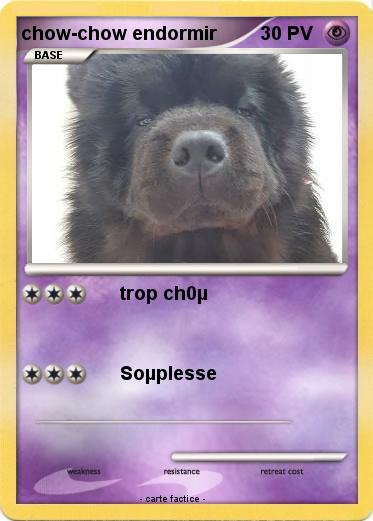 Pokemon chow-chow endormir