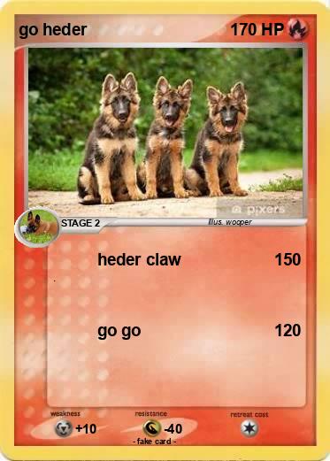 Pokemon go heder