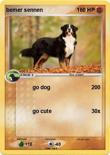 Pokemon bemer sennen