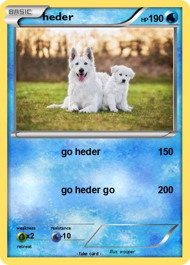 Pokemon heder
