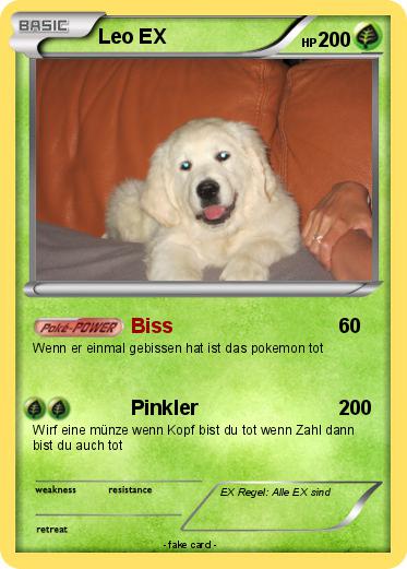 Pokemon Leo EX