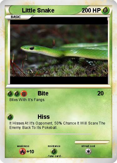 Pokemon Little Snake