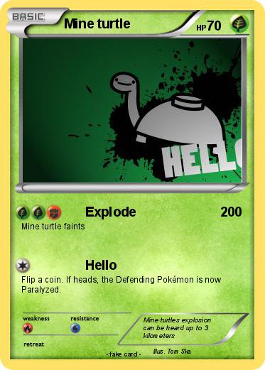 Pokemon Mine turtle