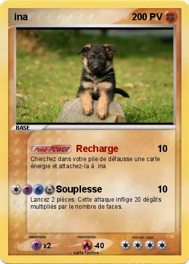 Pokemon ina
