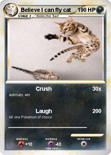 Pokemon Believe I can fly cat