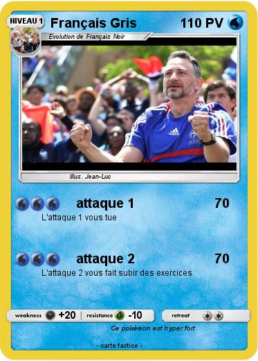 Pokemon Français Gris