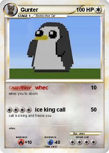Pokemon Gunter