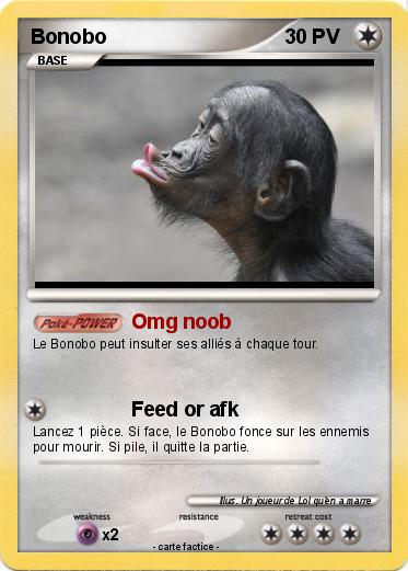 Pokemon Bonobo