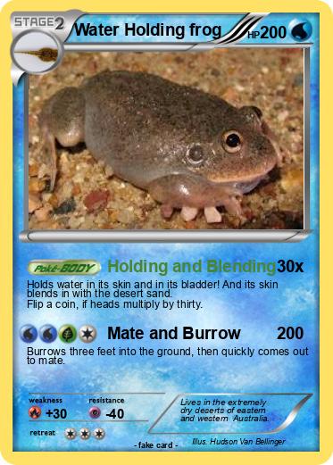Pokemon Water Holding frog
