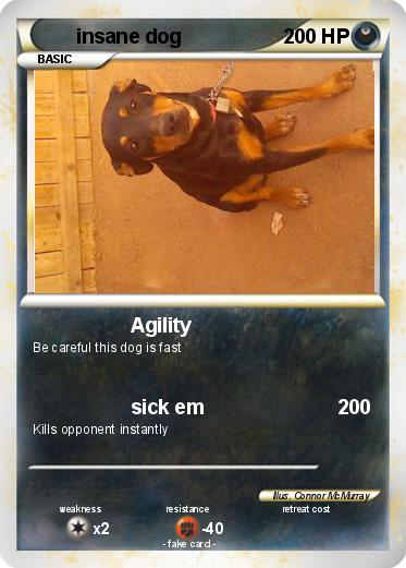 Pokemon insane dog