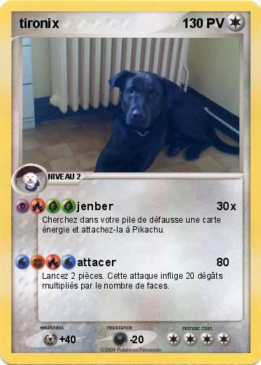 Pokemon tironix
