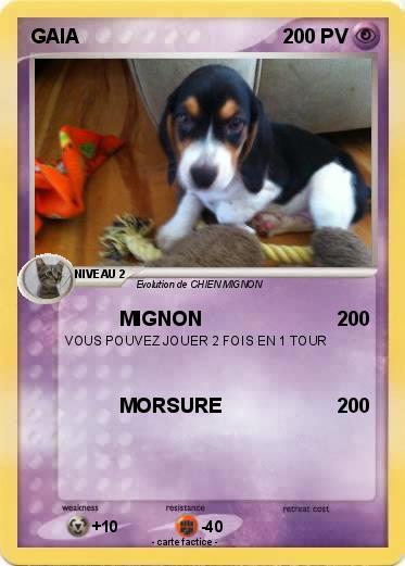 Pokemon GAIA