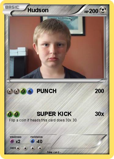 Pokemon Hudson