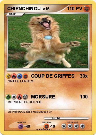 Pokemon CHIENCHINOU