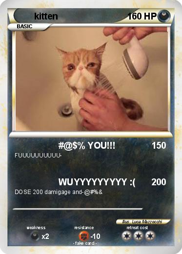 Pokemon kitten