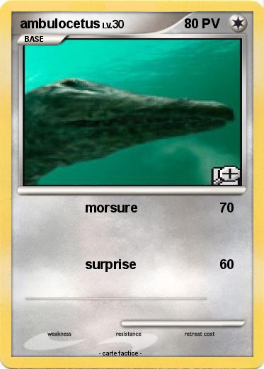 Pokemon ambulocetus