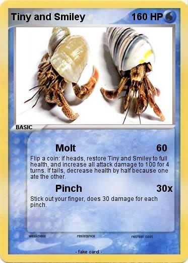 Pokemon Tiny and Smiley