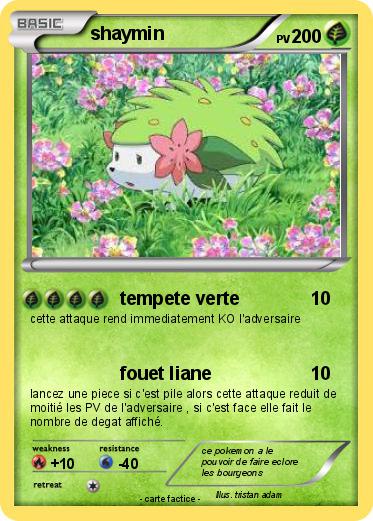 Pokemon shaymin