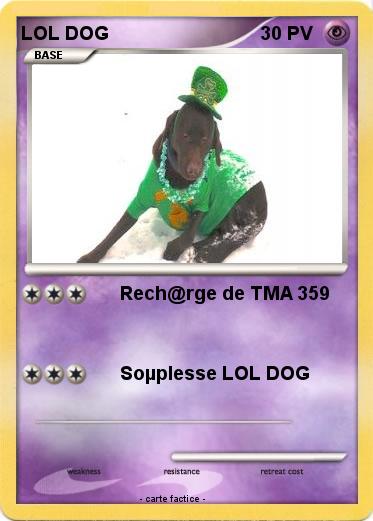 Pokemon LOL DOG