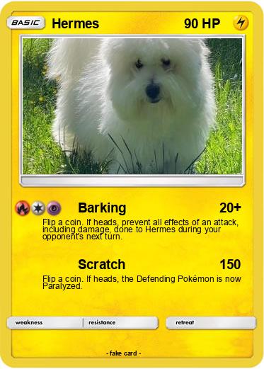 Pokemon Hermes