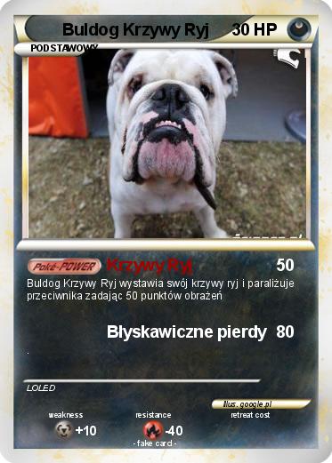 Pokemon Buldog Krzywy Ryj