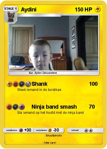 Pokemon Aydini