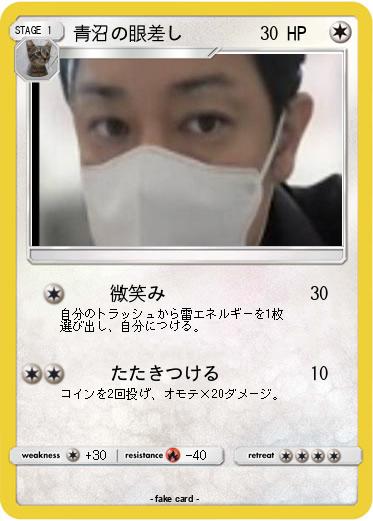 Pokemon 青沼の眼差し