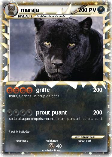 Pokemon maraja