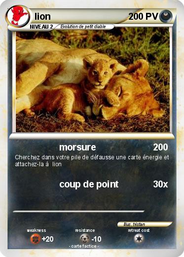 Pokemon lion