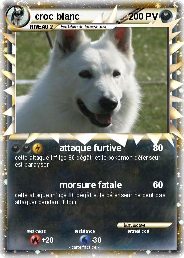 Pokemon croc blanc