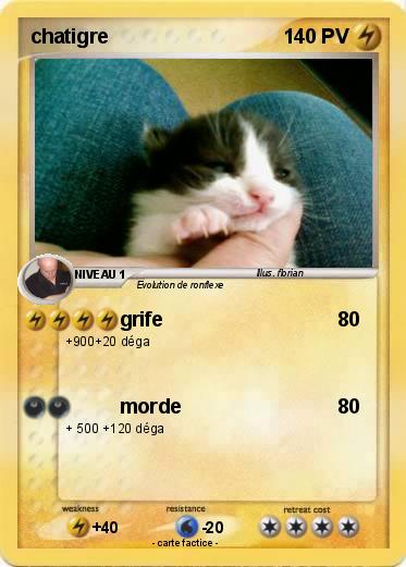 Pokemon chatigre