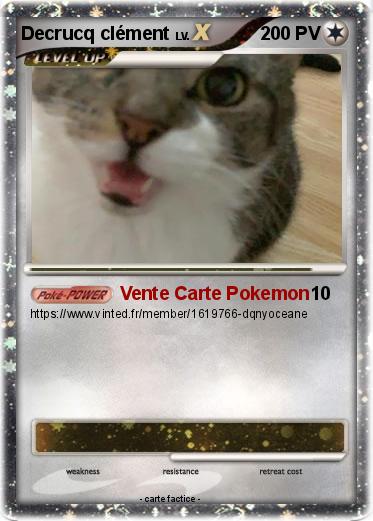 Pokemon Decrucq clément