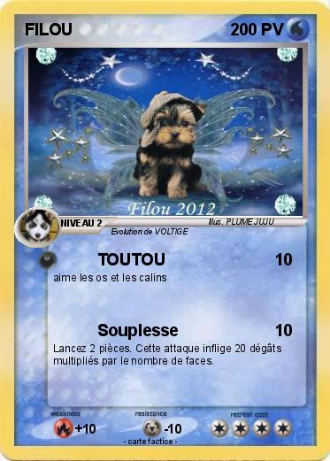 Pokemon FILOU