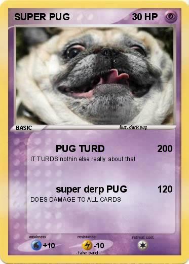 Pokemon SUPER PUG