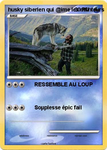 Pokemon husky siberien qui @ime les m£nteurs