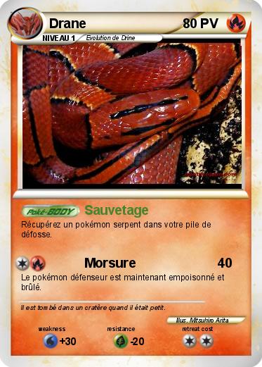 Pokemon Drane