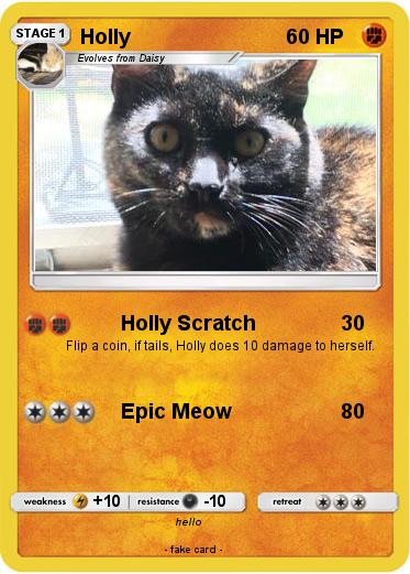 Pokemon Holly