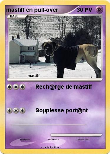 Pokemon mastiff en pull-over