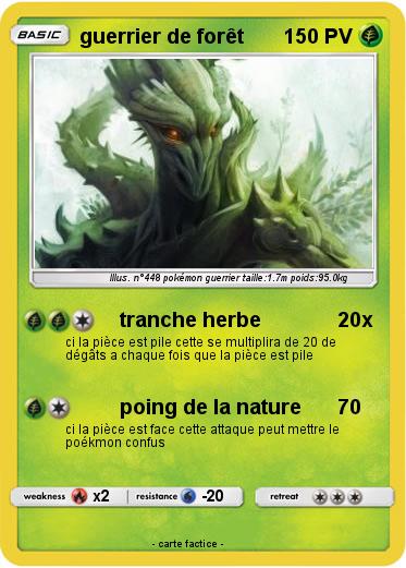 Pokemon guerrier de forêt