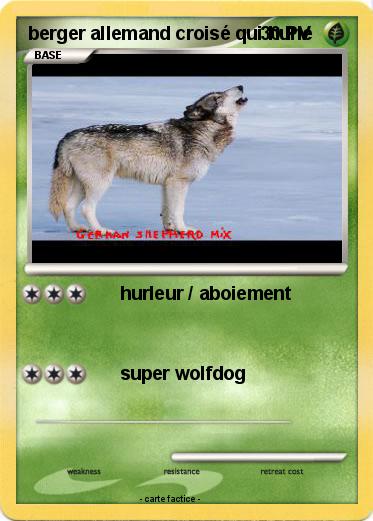 Pokemon berger allemand croisé qui hurle