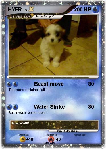 Pokemon HYFR
