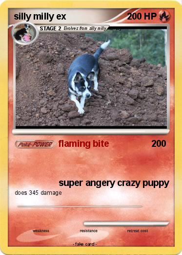 Pokemon silly milly ex