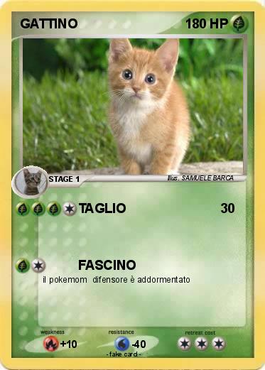 Pokemon GATTINO