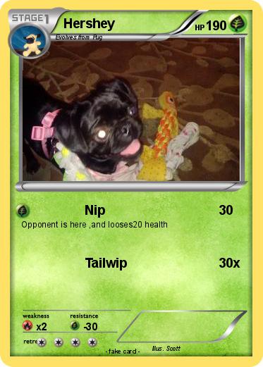 Pokemon Hershey