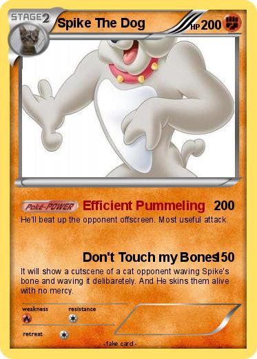 Pokemon Spike The Dog